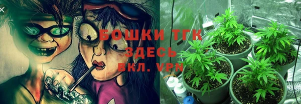 ECSTASY Волоколамск